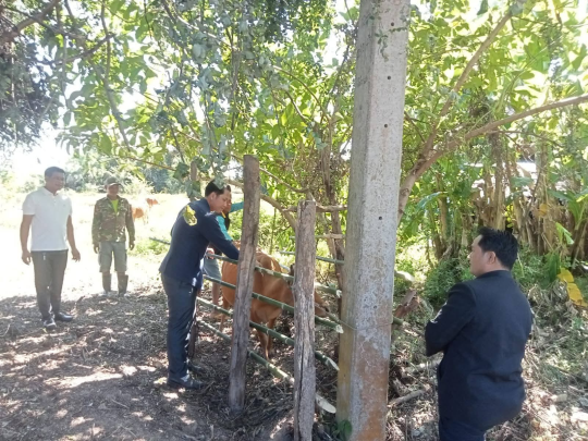 Khong District Launches Nationwide Animal Vaccination Campaign Promoting One Health